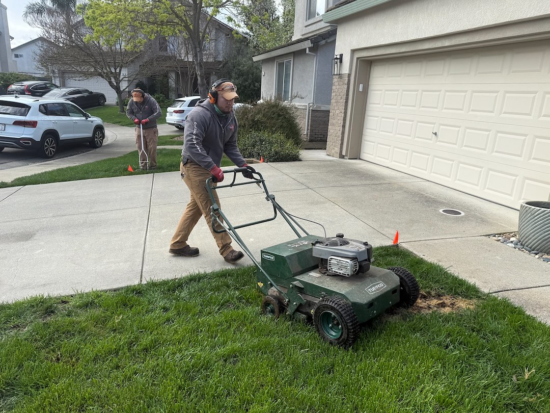 Lawn Aeration Success in Natomas: Orchid Lawn Care Delivers Outstanding Results for Sacramento Homeowners